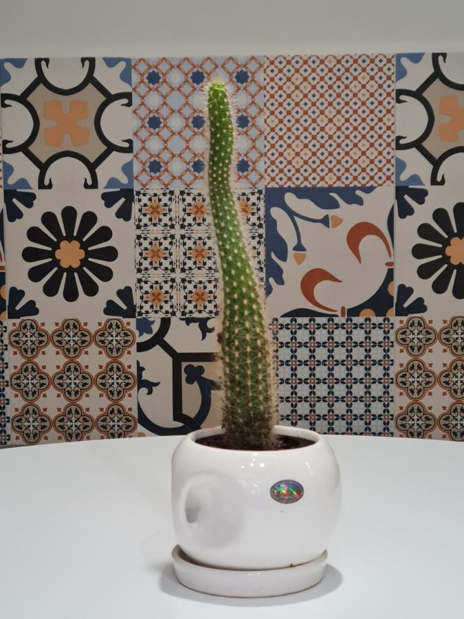 Tam Serviced Studio Apartment Myslym Shyri No1 Tiran Dış mekan fotoğraf
